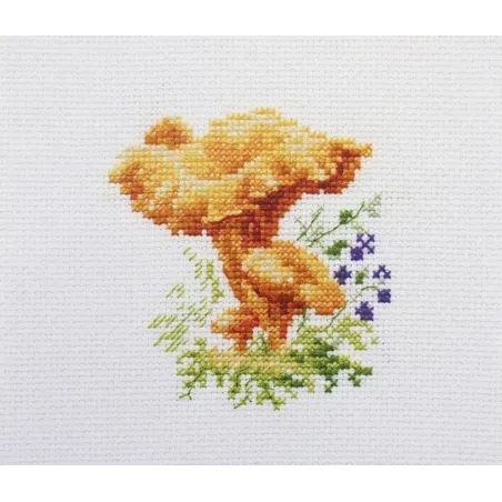 Chanterelle Pilze S0-143