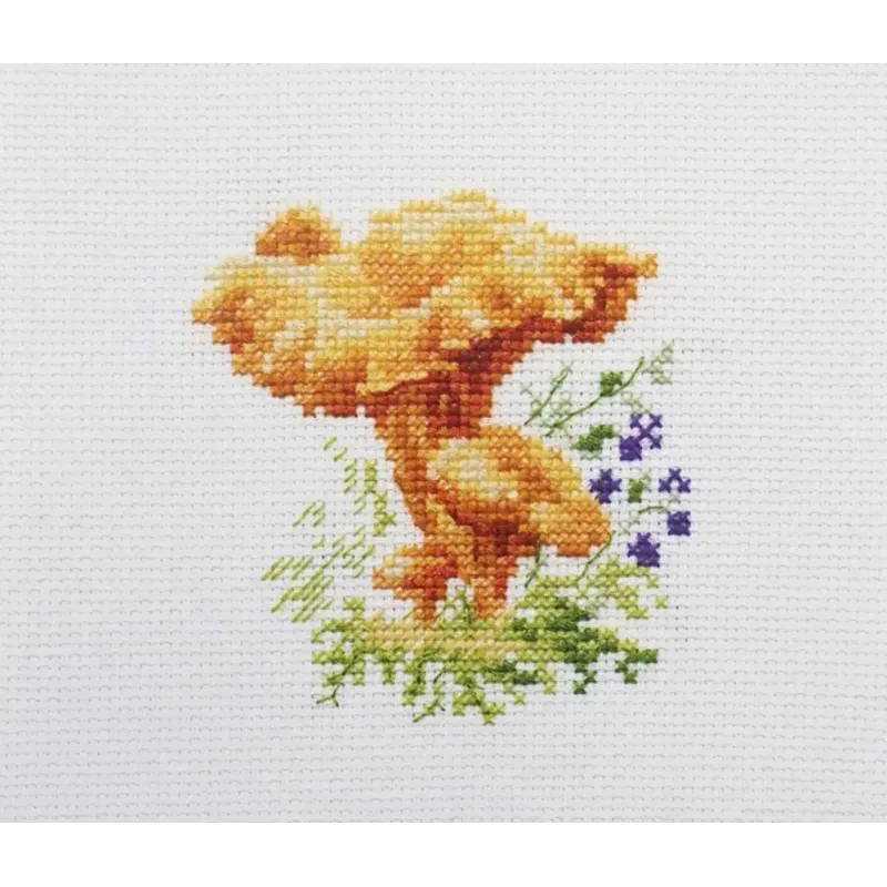 Chanterelle Pilze S0-143