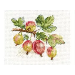 Крыжовник S0-142