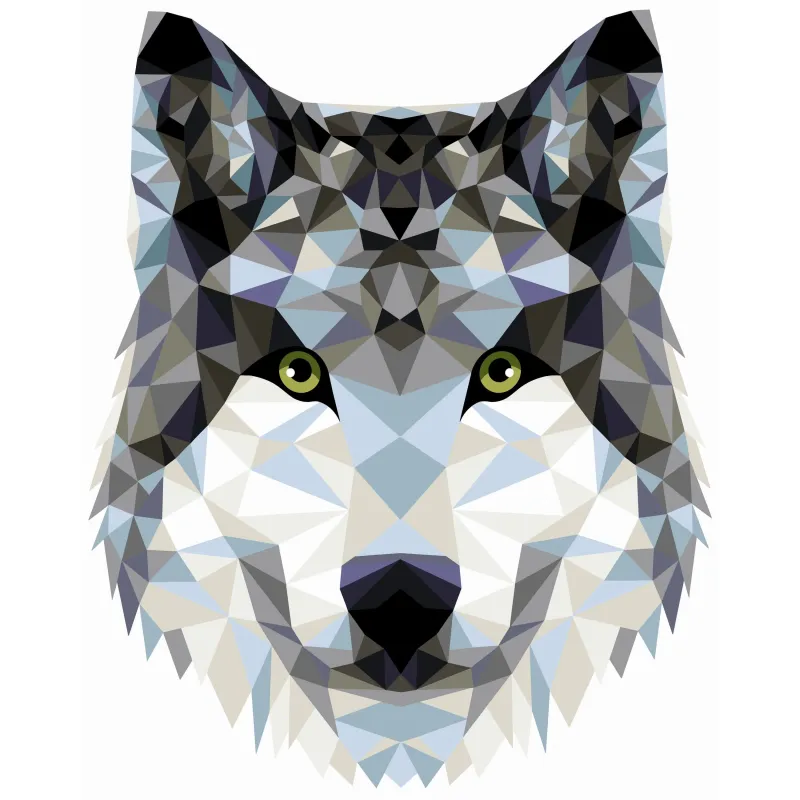 Mal-nach-Zahlen-Set. P004 Wolf (polygonales Design) 40*50