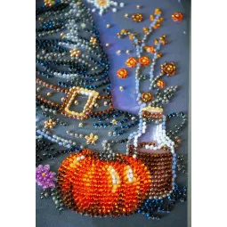 Mid-sized bead embroidery kit "Dream of the Witch" 20x20 cm AAMB-123