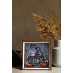 Vidutinio dydžio karoliukų siuvinėjimo rinkinys "Raganos svajonė" 20x20 cm AAMB-123