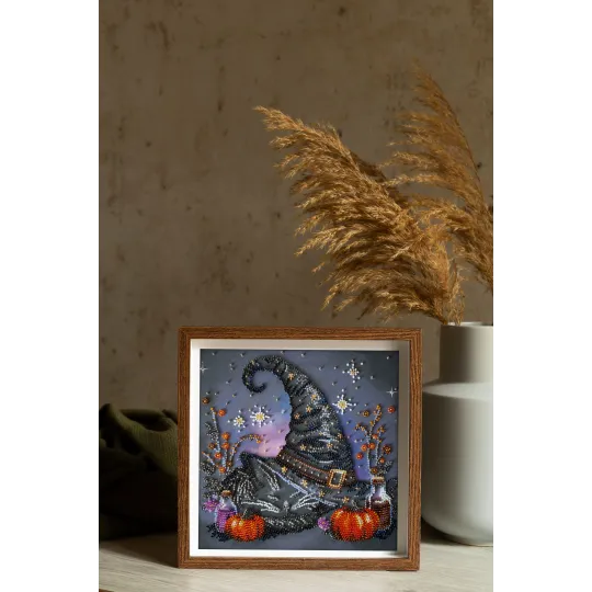 Vidutinio dydžio karoliukų siuvinėjimo rinkinys "Raganos svajonė" 20x20 cm AAMB-123