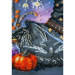 Mid-sized bead embroidery kit "Dream of the Witch" 20x20 cm AAMB-123