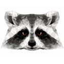 (SOLDES) Kit de peinture par numéros. P006 Raton laveur (style polygone) 40*50