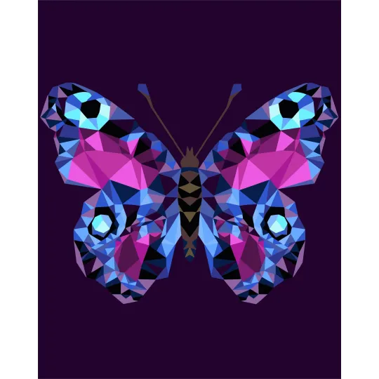 Kit de peinture par numéros. P003 Papillon (style polygone) 40*50