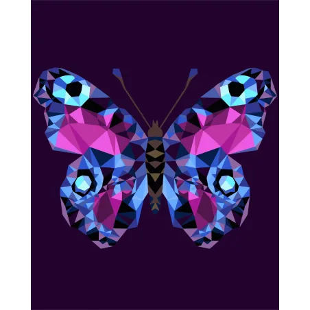 Kit de peinture par numéros. P003 Papillon (style polygone) 40*50