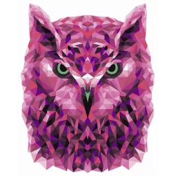 Paveikslas pagal skaičius rinkinys. P002 Pelėda (poligono stilius) 40*50