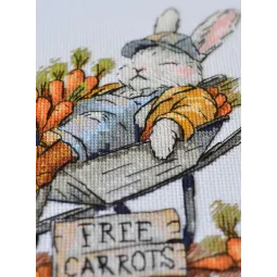 Cross-stitch kits "Free carrots" 20x18 cm AAH-288