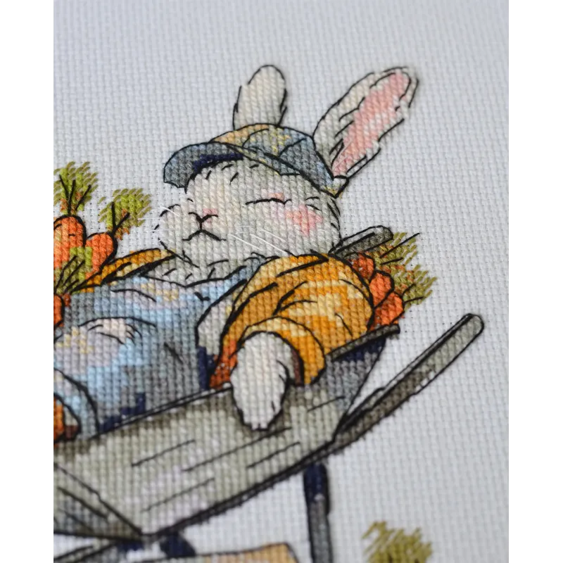 Kits de point de croix "Carottes gratuites" 20x18 cm AAH-288