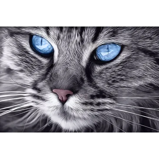 (D) Blue-Eyed Cat 30*20 cm WD2517