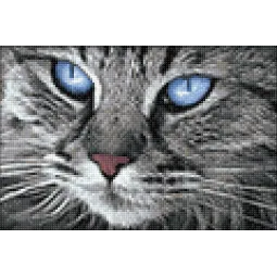 (D) Chat aux yeux bleus 30*20 cm WD2517
