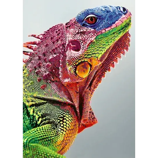 Leguan 27*38 cm WD065 (D)