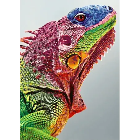 Leguan 27*38 cm WD065 (D)