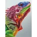 Iguana 27*38 cm WD065 (D)