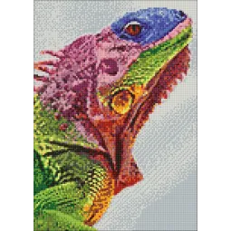 Iguana 27*38 cm WD065 (D)