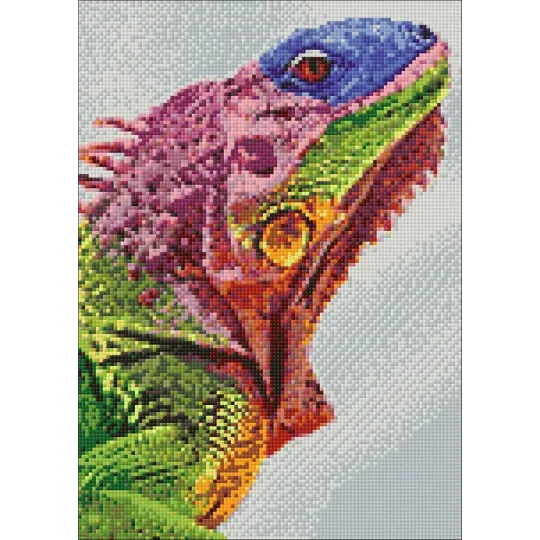 Leguan 27*38 cm WD065 (D)