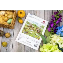 Kryželių siuvinėjimo rinkinys "Asilų kiemas" 39x32 cm SBU5087