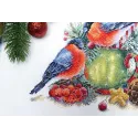 Cross stitch kit "Winter talking" SNV-838