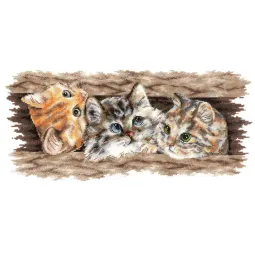 Cross stitch kit "Fluffy trio" 35 х 14,5 cm SANP-69