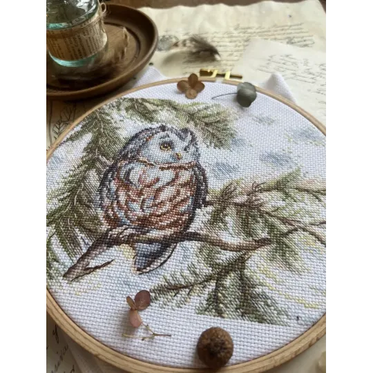 Cross stitch kit "Little Owl" 20x15 cm SANS-73