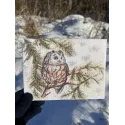 Cross stitch kit "Little Owl" 20x15 cm SANS-73