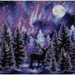 Cross stitch kit PANNA "Starry night" PPS-7413