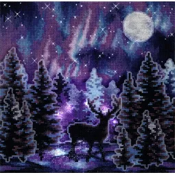 Cross stitch kit PANNA "Starry night" PPS-7413