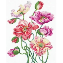 Coquelicots sauvages SAND-28