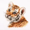Tiger cub S1-33