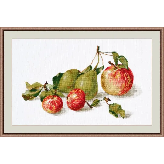 SALE Apples S924 (D)
