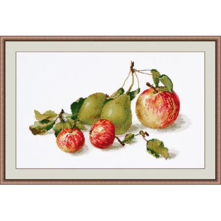 SALE Apples S924 (D)