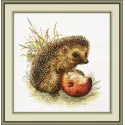 SALE Prickly gourmet S724 (D)