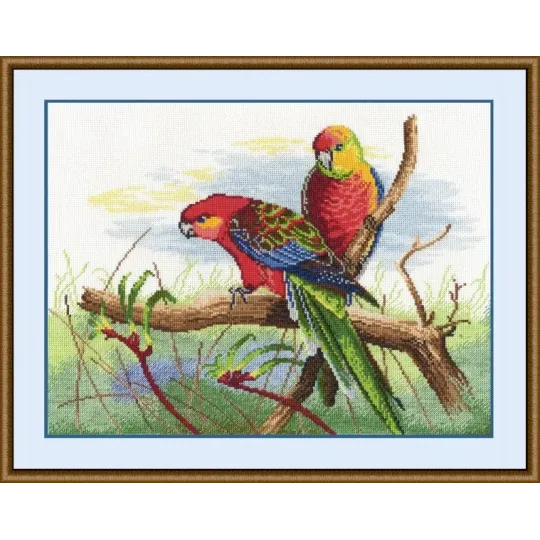 VENTE Perroquets S509 (D)