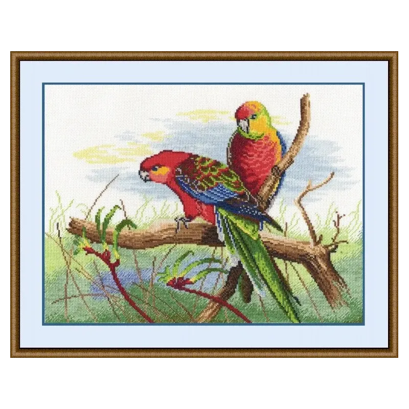 VENTE Perroquets S509 (D)