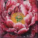 Main Bead Embroidery Kit "Dew's Kiss" 23x23 cm AAB-951