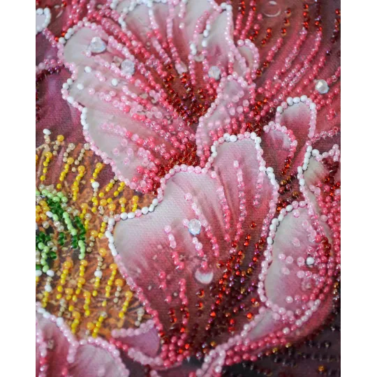 Kit de broderie de perles principales "Le baiser de Dew" 23x23 cm AAB-951