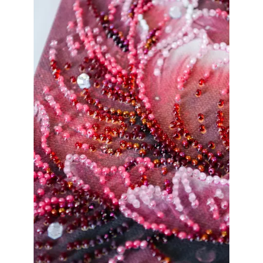 Kit de broderie de perles principales "Le baiser de Dew" 23x23 cm AAB-951