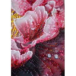 Kit de broderie de perles principales "Le baiser de Dew" 23x23 cm AAB-951