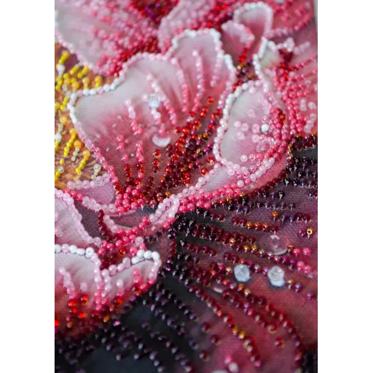 Kit de broderie de perles principales "Le baiser de Dew" 23x23 cm AAB-951