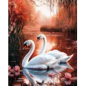 Kit de peinture diamant avec sous-cadre "Swans" 30x40 cm VA863