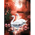 Diamond Painting kit with subframe "Swans" 30x40 cm VA863