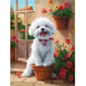 Diamond Painting kit with subframe "Fluffy friend" 30x40 cm VA858