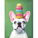 Diamond Painting kit with subframe "French bulldog" 30x40 cm VA861