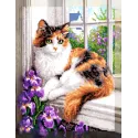 Diamond painting with subframe "Cat on the window" 40x50 cm DP420