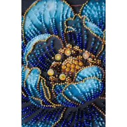 Vidutinio dydžio karoliukų siuvinėjimo rinkinys "Royal Bloom" 20x20 cm AAMB-124