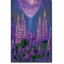 Kit de broderie de perles principal "Clair de Lune" 24x37 cm AAB-952