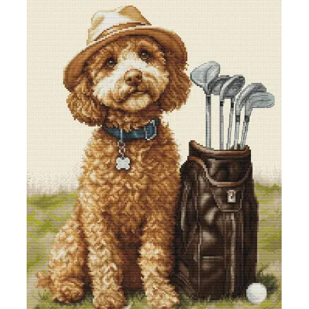 Kit de Point de Croix "Le Maître Golfeur" 26 x 31 cm SBU5090