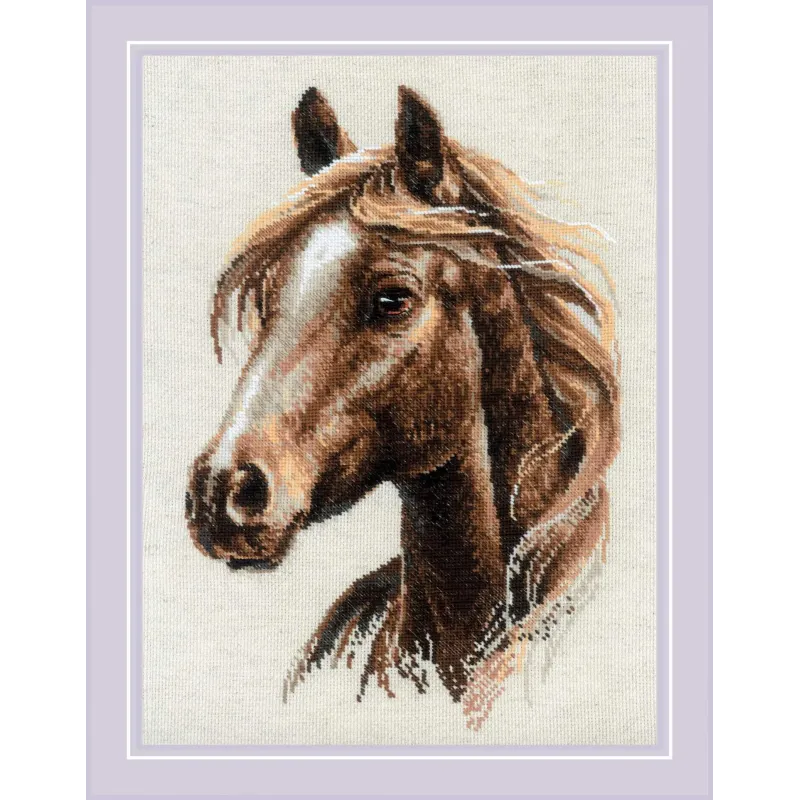 Kryželiu siuvinėjimo rinkinys. "Išdidus spiritas" 30x40 cm SR2293