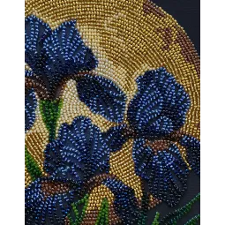 Vidutinio dydžio karoliukų siuvinėjimo rinkinys. "Šokis aukso šviesoje" 20x20 cm AAMB-126